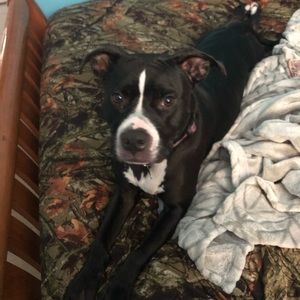 Meet your Posher, Brittany